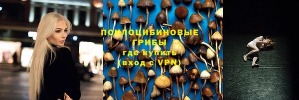 альфа пвп Армянск