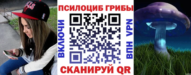 Псилоцибиновые грибы Psilocybe Избербаш