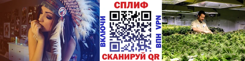 купить наркоту  Избербаш  Марихуана SATIVA & INDICA 